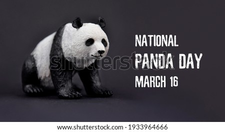 National Panda Day stock images. Panda bear plastic toy on a black background stock images. Panda Day Poster, March 16. Important day