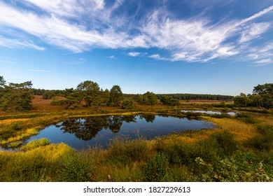 National Park de Hoge Kempen - de Teut (English Hoge Kempen - de Teut) with a beautiful views on the heather and dramatic sky which has amazing possibilities for an outdoor lifestyle - Shutterstock ID 1827229613