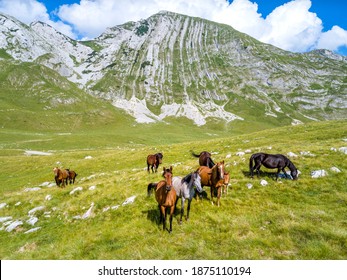 National Park Durmitor In Montenegro