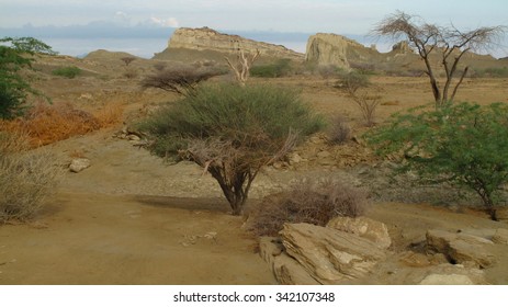national park of Gheshm Island , persian gulf ,iran