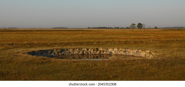 In The Kiskunság National Park, Hungary