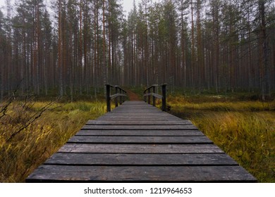 National Park Of Koli