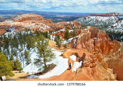 A National Park Ranger Walking On A Closed Trail Due To Snow To Set Up The Closure Sign For Visitors At Bryce Canyon,Utah