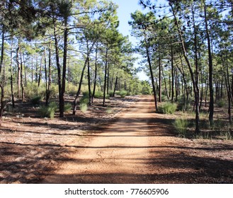 National Park Of The Serra De Sao Mamede