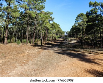 National Park Of The Serra De Sao Mamede