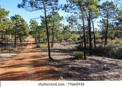 National Park Of The Serra De Sao Mamede