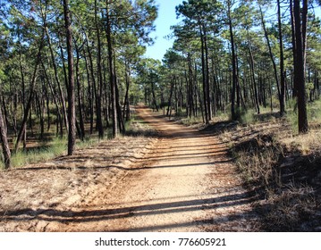 National Park Of The Serra De Sao Mamede