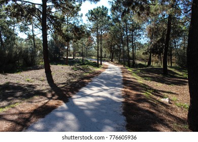 National Park Of The Serra De Sao Mamede