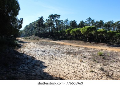 National Park Of The Serra De Sao Mamede