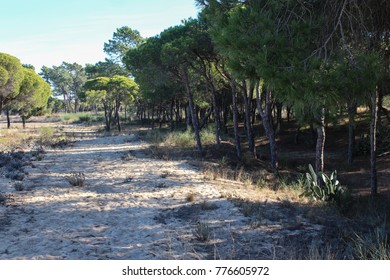 National Park Of The Serra De Sao Mamede