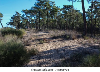 National Park Of The Serra De Sao Mamede