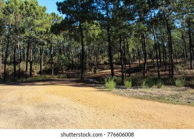 National Park Of The Serra De Sao Mamede