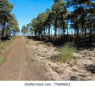 National Park Of The Serra De Sao Mamede