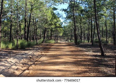 National Park Of The Serra De Sao Mamede