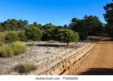 National Park Of The Serra De Sao Mamede