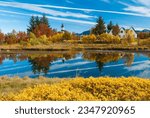 Þingvellir, a national park in southern Iceland