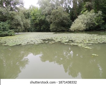 Hortobágy National Park Tisza Lake