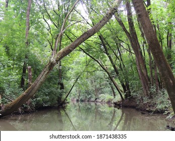 Hortobágy National Park Tisza Lake