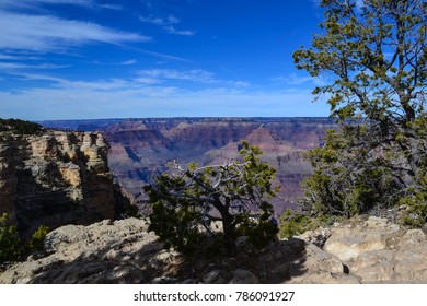 National Parks Including The Grand Canyon And Joshua Tree, Select Few From Ghost Town Jerome Arizona. 