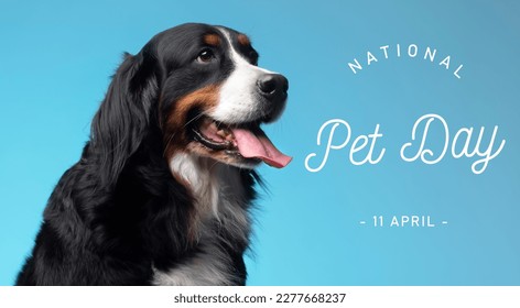 National Pet day, national holiday, pet national holiday - Shutterstock ID 2277668237