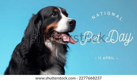 National Pet day, national holiday, pet national holiday