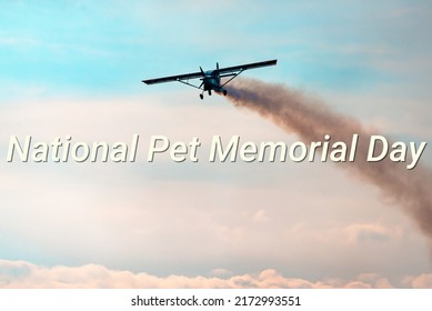 National Pet Memorial Day - Text, World Holiday And International (copy Space).