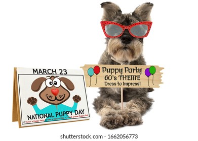 National Puppy Day March 23 Calendar Date Next To Schnauzer Wearing Sunglasses Holding Sign 