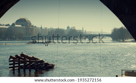 Similar – Image, Stock Photo *Pigeon dove Lake