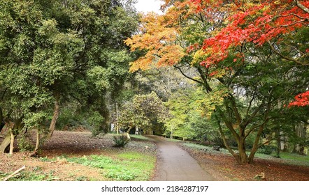 National Trust In South England