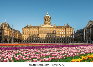 National tulip day at the Dam Square with the Royal Palace on the background in Amsterdam, Netherlands. Landscape and nature travel, or historical building and sightseeing concept