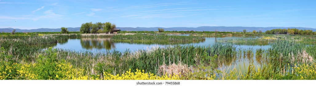 National Wildlife Refuge & Marshes, Klamath Falls Oregon.