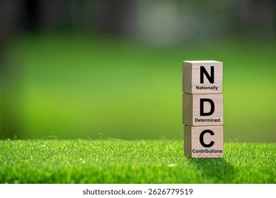 The nationally determined contributions (NDCs) are commitments that countries make to reduce their greenhouse gas emissions as part of climate change mitigation.