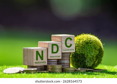 The nationally determined contributions (NDCs) are commitments that countries make to reduce their greenhouse gas emissions as part of climate change mitigation.