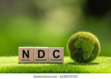 The nationally determined contributions (NDCs) are commitments that countries make to reduce their greenhouse gas emissions as part of climate change mitigation.