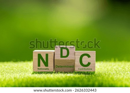 The nationally determined contributions (NDCs) are commitments that countries make to reduce their greenhouse gas emissions as part of climate change mitigation.