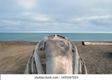 Native Alaskan Fishing Boat Frame In Barrow Alaska