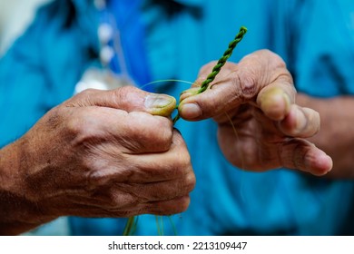 A Native American Man Uses The Fibers Of A Yucca Plant To Weave Them Together. 