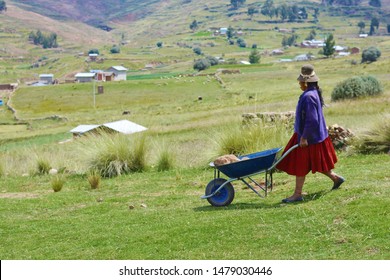 Native American Woman Farmer Working With Wheelbarrow.