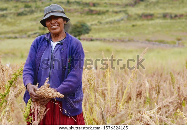 Native american woman\
on the quinoa field.