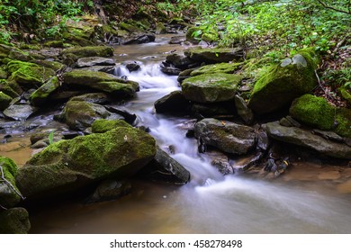 Native Brook Trout Stream In The Appalachian Mountains.