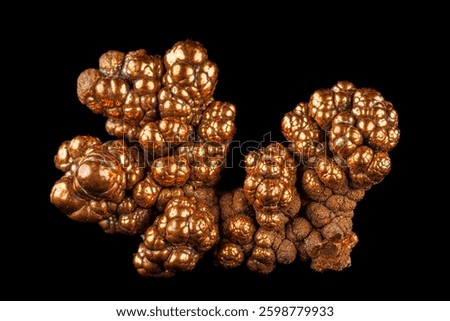 Native copper with botryoidal formations and metallic luster, showcasing a rich reddish hue.