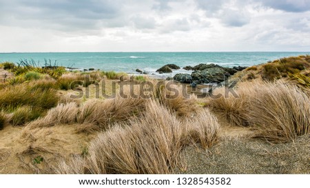 Native flax at Howells Point Reserve, Riverton, New Zealand.