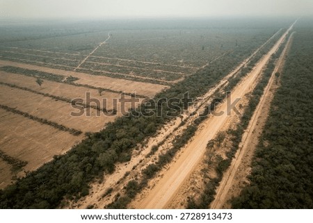 Native forest cleared along a roadside in Formosa, Argentina, showing deforestation, habitat loss, and human impact on the Chaco ecosystem, highlighting environmental degradation and land use change.