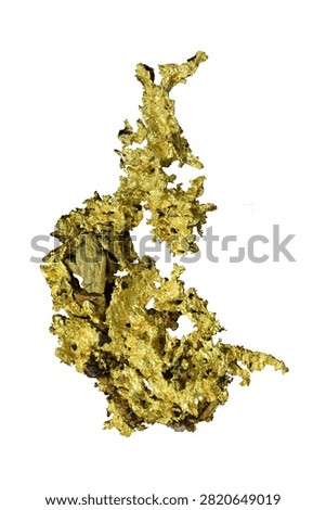 Native gold specimen from Eagles Nest Mine, Placer County, California. 
