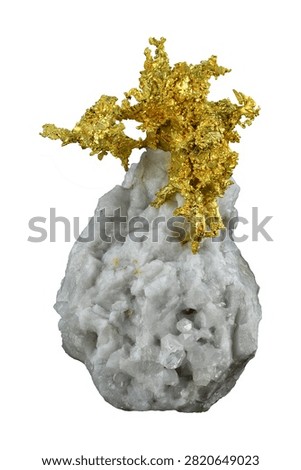 Native gold specimen from Eagles Nest Mine, Placer County, California. 