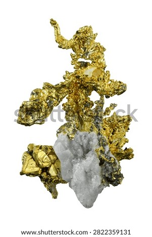 Native gold specimen from Eagles Nest Mine, Placer County, California. 