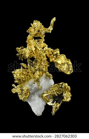 Native gold specimen from Eagles Nest Mine, Placer County, California. 