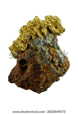 Native gold specimen from Placer County, California. 