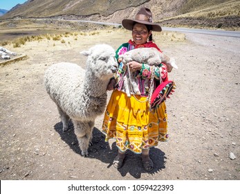 A Native Peruvian With Her Alpaca In Peru.