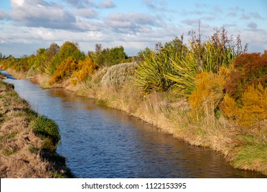 Native Plantings Along The Riparian Zone Of A Waterway